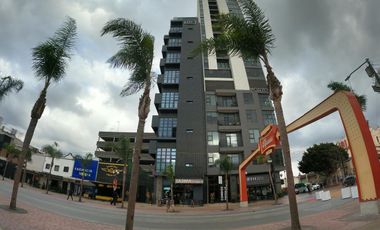 HERMOSO LOFT AMUEBLADO DE RENTA EN AV. REVOLUCION ZONA CENTRO
