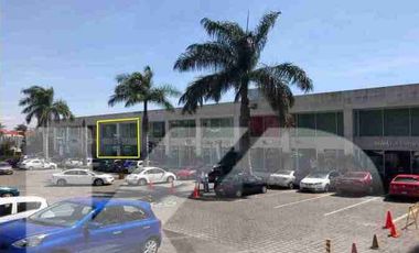 LOCAL PREMIUM CON 215.83 m² EN EL EXCLUSIVO 