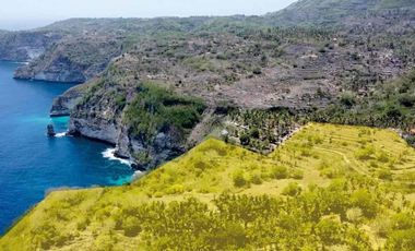 jual tanah pantai atuh pelilit Nusa penida samping tropikal glamping