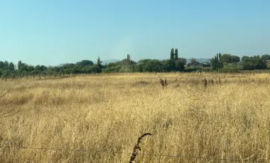 LOTEO DE PARCELAS EN UNIHUE TALCA