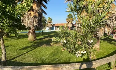 LOTEO DE PARCELAS EN UNIHUE TALCA