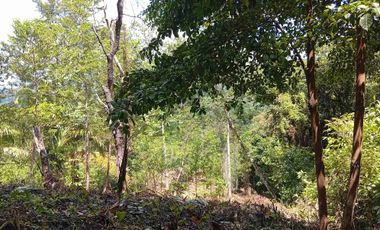 50% de Descuento en Lote de 300 M² en Condominio Orange Land