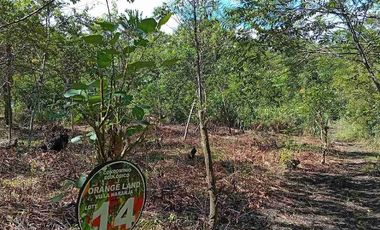 50% de Descuento en Lote de 300 M² en Condominio Orange Land