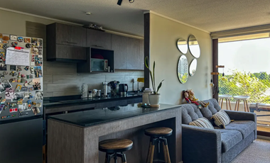 Nuevo Barrio Tranquilo Familiar Seguro Vista Terraza Huechuraba Departamento Venta