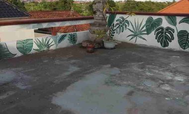 Rumah Super Luas 7 Kamar di Raya Padonan Canggu Bali