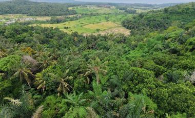 Tanah TERMURAH Candidasa Karang Asem