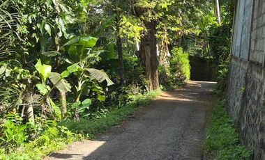 Tanah TERMURAH Candidasa Karang Asem