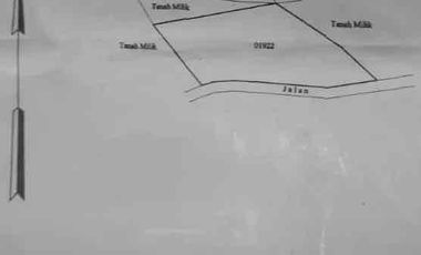 Tanah Murah Tirta Gangga Karang Asem