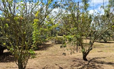 ESPECTACULAR CASA CAMPESTRE BUYARA III, CHIA