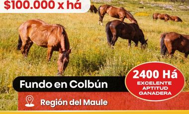 Terreno en venta en Colbún, Linares