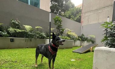 Departamento en Renta, Livix, Lago Filt, Colonia Granada, Miguel Hidalgo.