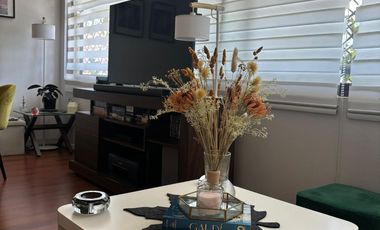 Arriendo Lindo departamento 1 dormitorio metro Salvador