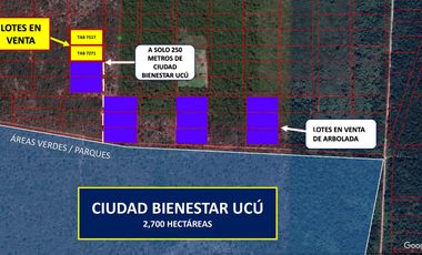 ¡Remate 2 lotes! Pegados a próxima Ciudad Bienestar en Ucú, YUcatán