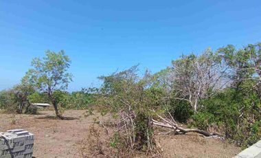 dijual tanah ocean view  luas 7864m² IDR 395 juta per are dekat Hotel kempinski nusa dua