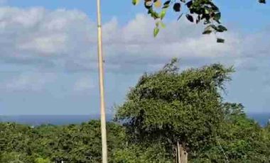 dijual tanah ocean view  luas 7864m² IDR 395 juta per are dekat Hotel kempinski nusa dua