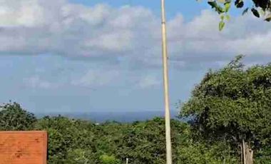 dijual tanah ocean view  luas 7864m² IDR 395 juta per are dekat Hotel kempinski nusa dua