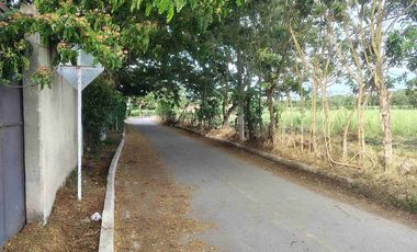 Lote en Venta en La herradura Palmaseca