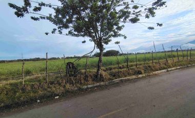 Lote en Venta en La herradura Palmaseca
