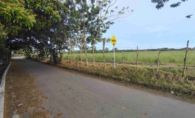 Lote en Venta en La herradura Palmaseca