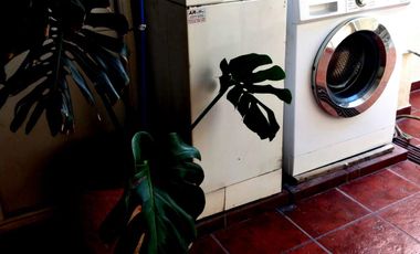ALQUILO ARMÓNICO MONOAMBIENTE CÉNTRICO! MENDOZA  CIUDAD - JUNIO 26