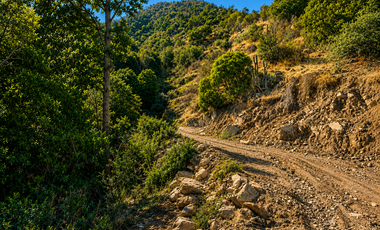 Se Vende Terreno En Cerro Lo Miranda Doñihue Rancagua