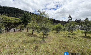 En venta terreno rural sector Villonaco bajo, a pasos de la via nueva a Catamayo