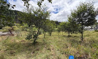 En venta terreno rural sector Villonaco bajo, a pasos de la via nueva a Catamayo