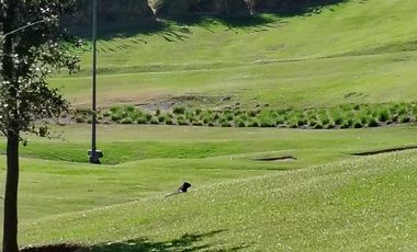 TERRENO EN VENTA AYAMONTE CLUB DE GOLF EN ZAPOPAN JALISCO