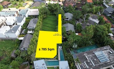 Disewakan Tanah 7,85 Are Zona Campuran di Pererenan Canggu Badung Bali