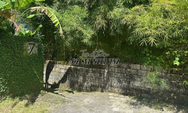Disewakan Tanah 7,85 Are Zona Campuran di Pererenan Canggu Badung Bali