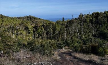 Se vende terreno de 5000 mts en estaquilla los muermos