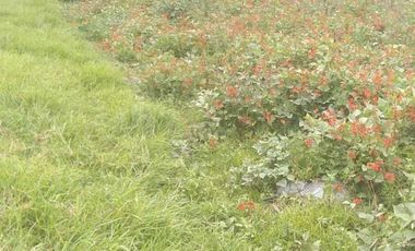 VENTA DE TERRENO. AYAPANGO, ESTADO DE MÉXICO