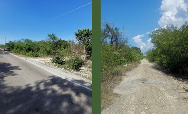 Mérida Yucatán / 1,000 m2 / Escrituración inmediata trato directo