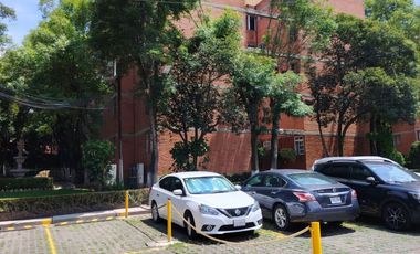 LINDO Y ACOGEDOR DEPARTAMENTO EN RENTA