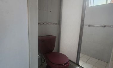 LINDO Y ACOGEDOR DEPARTAMENTO EN RENTA