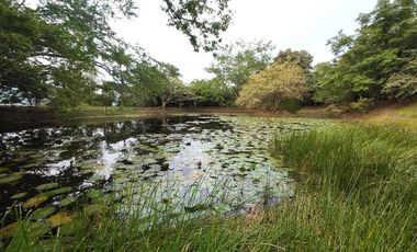 VENDO ESPECTACULAR CASA EN ANAPOIMA EN COJUNTO CERRADO