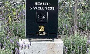DISTRITO SOPHIA JURICA $ 26 000