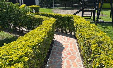 Venta de Espectacular Finca de Lujo con Piscinas, Discoteca y Zonas Deportivas – Rozo Palmira