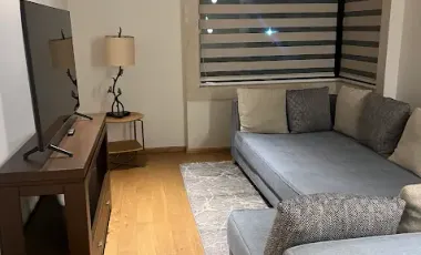 RENTA CASA AMUEBLADA METEPEC