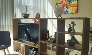 RENTO LOFT AMUEBLADO TRIUMPH TOWERS CUERNAVACA
