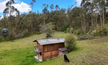 Terreno en Venta – Sector ZININ (Cerca de Cuenca y Azogues)