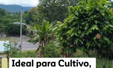 📍 Hacienda 240 ha Vía Quinindé Esmeraldas 📍