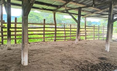📍 Hacienda 240 ha Vía Quinindé Esmeraldas 📍