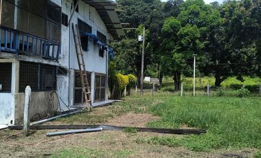 📍 Hacienda 240 ha Vía Quinindé Esmeraldas 📍