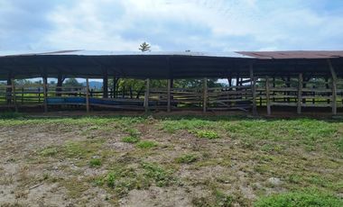 📍 Hacienda 240 ha Vía Quinindé Esmeraldas 📍