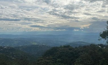 ARRIENDO APARTAMENTO EN EL BARRIO LOS ALCAZARES, MANIZALES