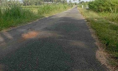 Tanah Dijual Timur Stadion cangkring Wates