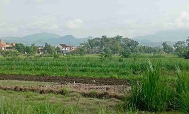 Tanah Dijual Timur Stadion cangkring Wates