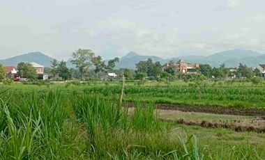 Tanah Dijual Timur Stadion cangkring Wates