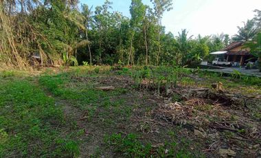 Tanah Dijual Timur Stadion cangkring Wates